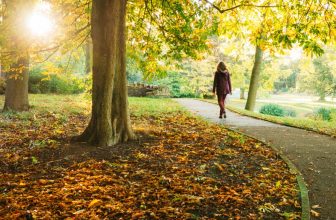 Walking to lose weight: Two gadgets to help increase your step count